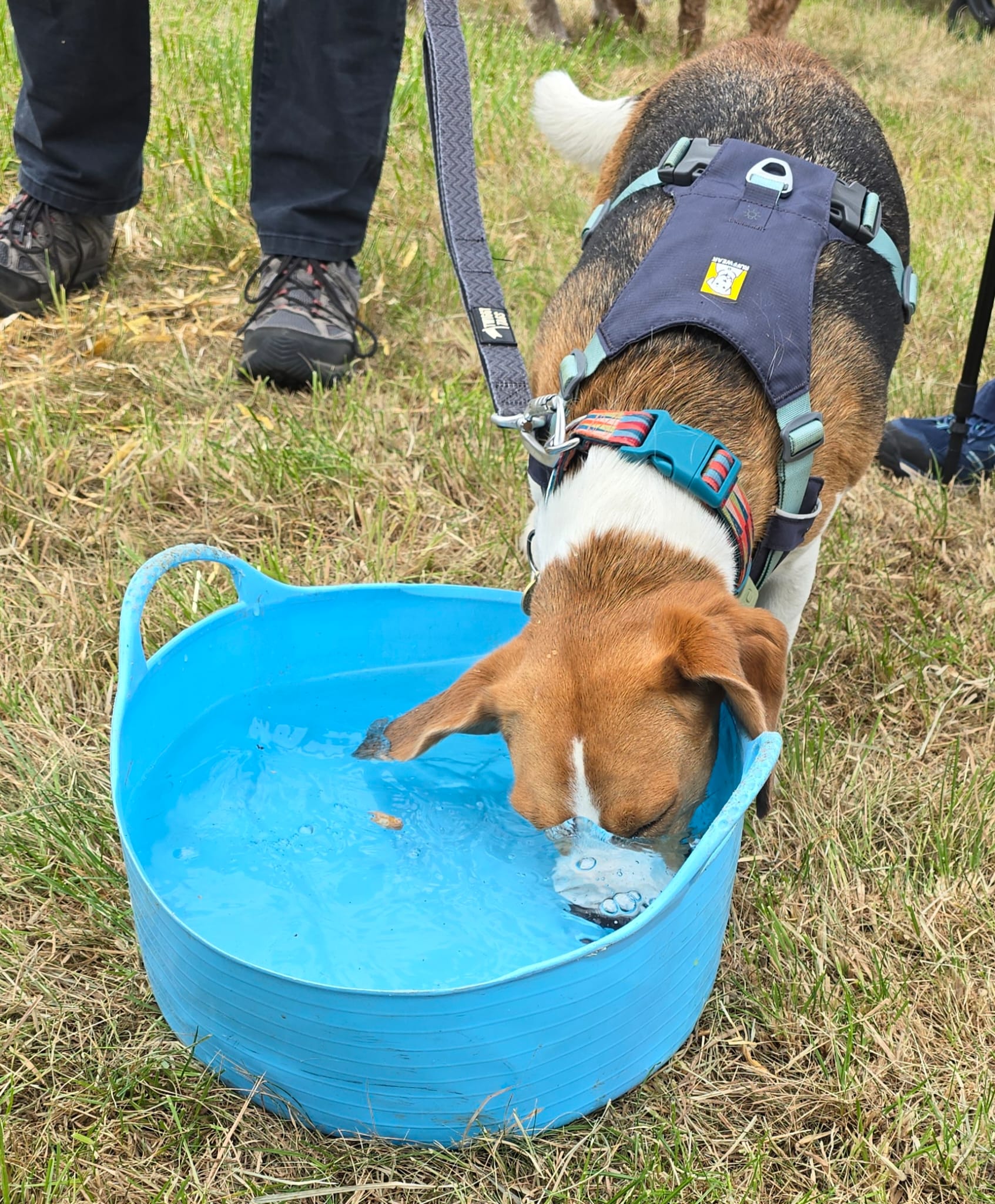 Image gallery image