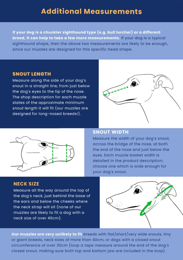Muzzle fitting guide image - graphics of sighthound heads with the text above about taking dog measurements.